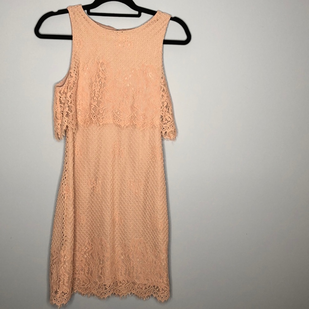 Blush lace dress